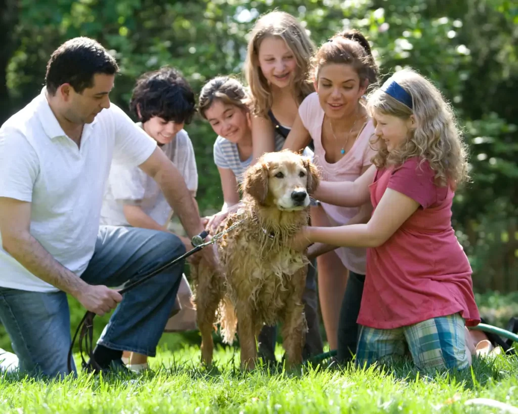 why pets are considered family